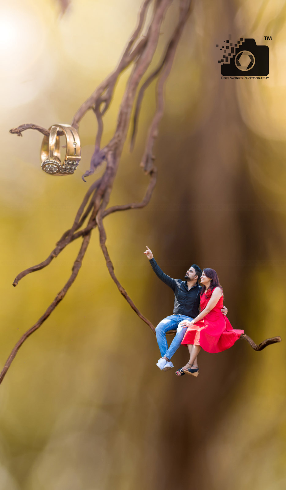 pre wedding shoot ideas miniature shot