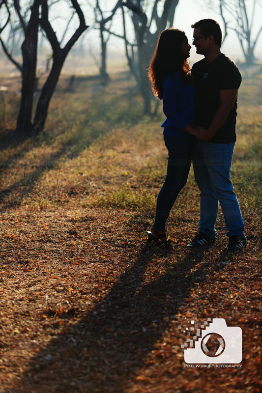 Forest pre wedding shoot 