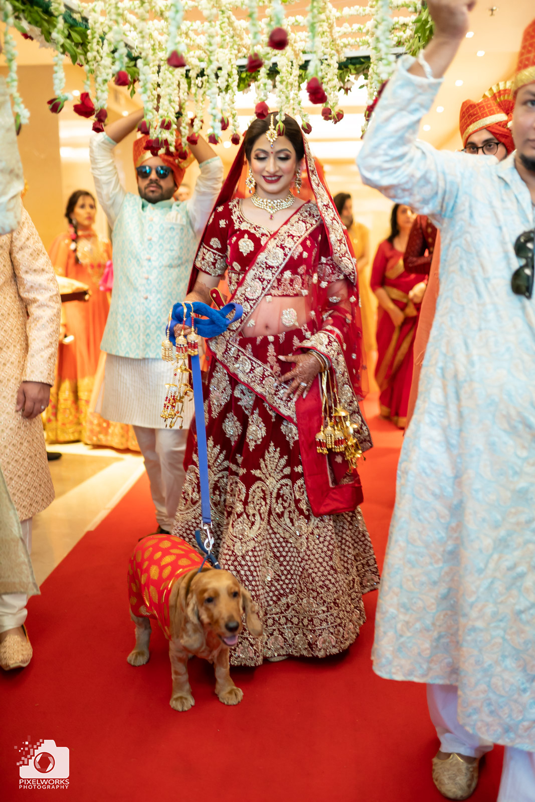 wedding photography bride and dog